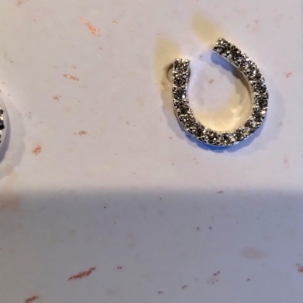 Horseshoe Silver Earrings - Cubic Zirconia Lucky Horses Pippa & Rawls NWT - Picture 6 of 8